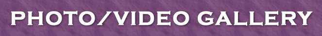 PhotoVideo Gallery.jpg